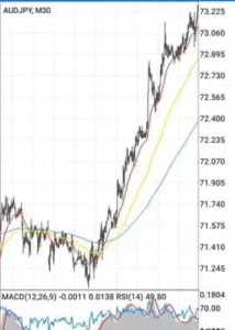 オージー円(AUDJPY) 30分足 01