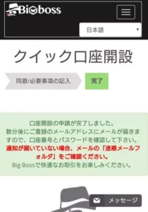 BigBoss(ビッグボス) 登録 06