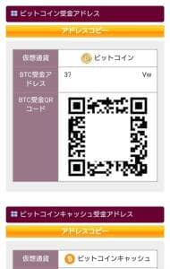 BITPoint(ビットポイント) 仮想通貨入金 02