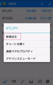 BITPoint(ビットポイント) FX 注文 02