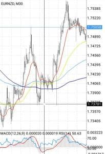 ユーロニュージー(EURNZD) 30分足 01