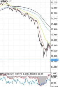 ニュージー円(NZDJPY) 1時間足 01