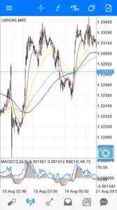 ドルカナダ(USDCAD) 30分足 01