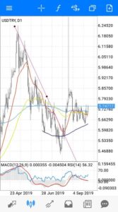 ドルトルコ(USDTRY) 日足 01